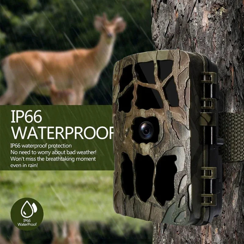 Hunting Outdoor Camera - H982 IP66กันน้ำ4K กลางแจ้งอินฟราเรด1080P Night Vision Trail
