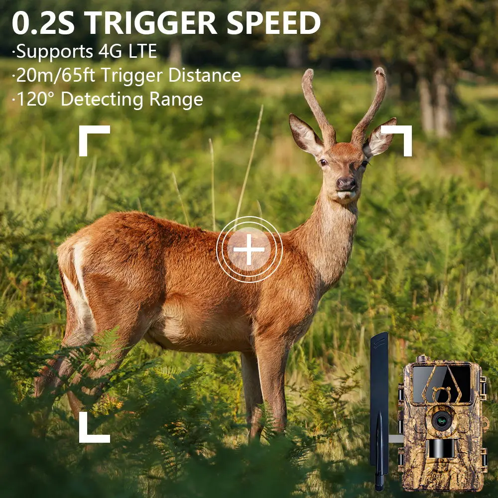 1Pcs HD8K กล้องอินฟราเรดสําหรั - Hunting Outdoor Camera บทวิจารณ์และราคา