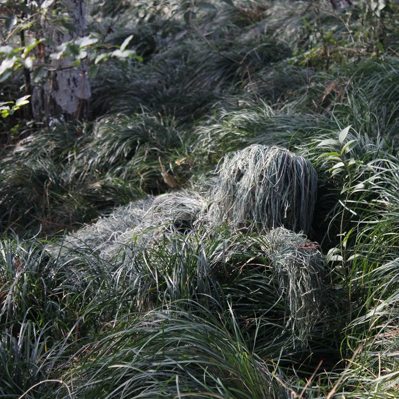 5 ชิ้นผู้ใหญ่ Ghillie สูทเด็ก  - Ghillie Suit Woodland บทวิจารณ์และราคา