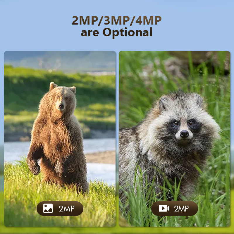 กล้องล่าสัตว์ป่ากลางแจ้ง4MP 4G - Hunting Outdoor Camera บทวิจารณ์และราคา