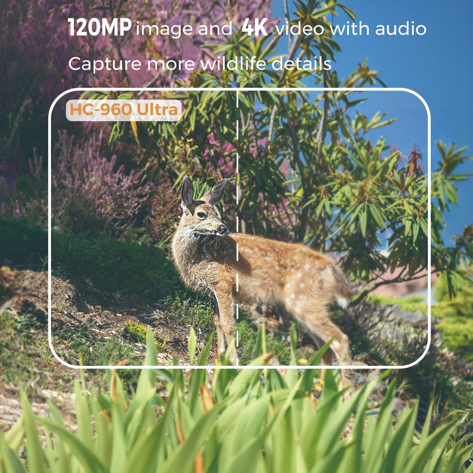 กล้องดักถ่ายสัตว์ป่า 4G สำหรับ - Hunting Outdoor Camera บทวิจารณ์และราคา